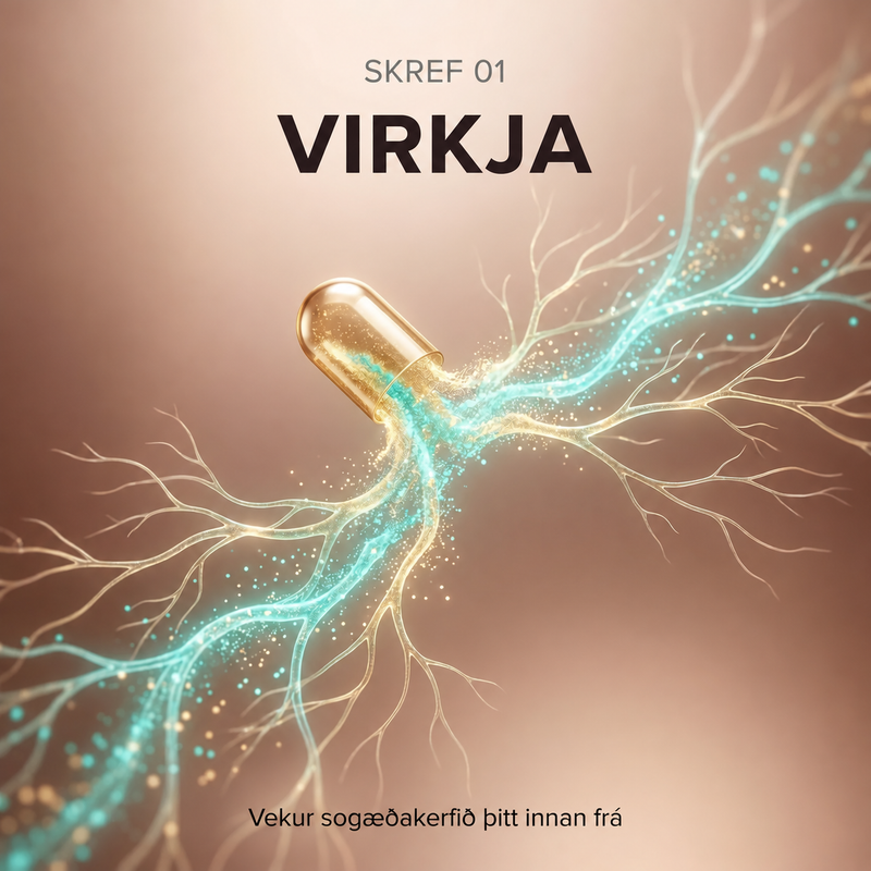 01 · Virkja