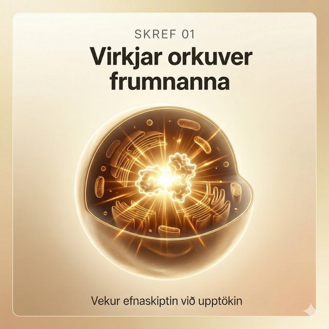 Skref 01: Kveikir á orkuvél frumnanna