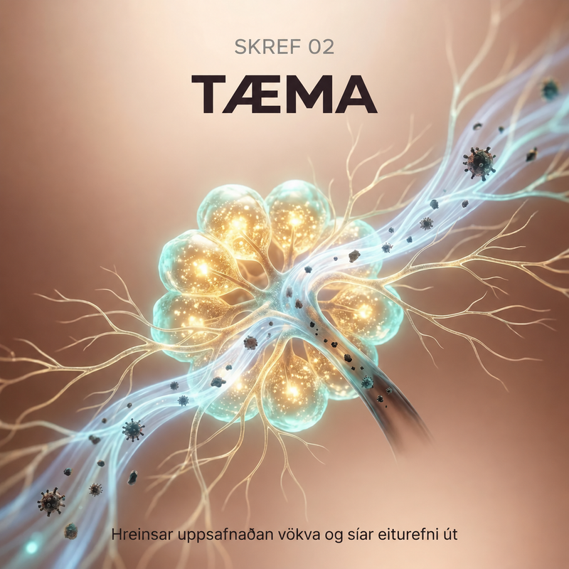 02 · Tæma