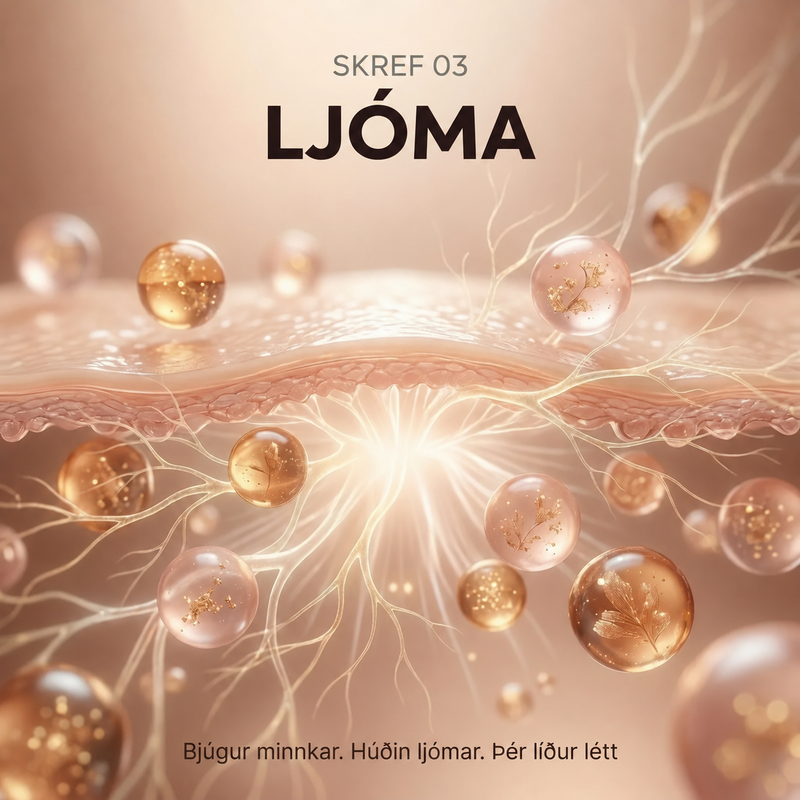 03 · Ljóma